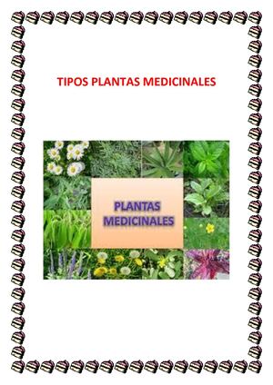 Tiipos De Plantas Mediciinales Utiilizadas