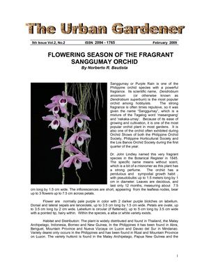 The Urban Gardener 5