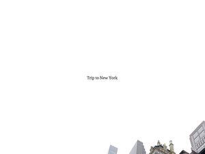 Ny Trip Guide