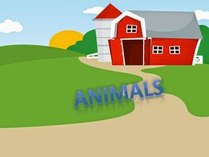 Animals