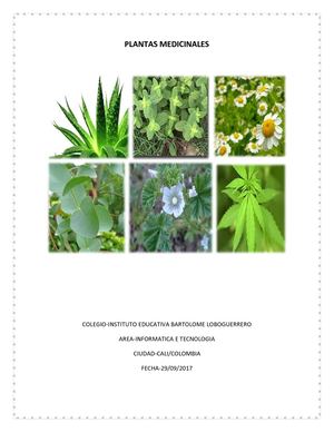 Plantas Medicinales