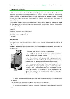 Tiempos de reacción