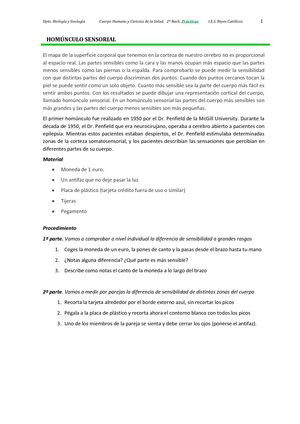 Homúnculo sensorial