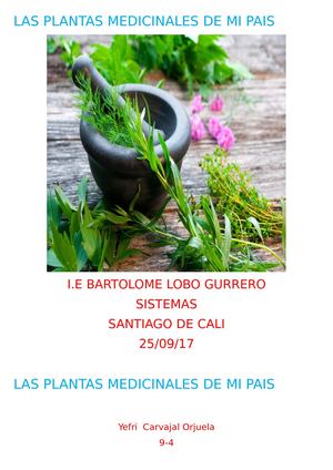 las plantas medicinales de mi pais