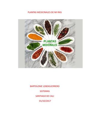 Tipos De Plantas Medicinales 2