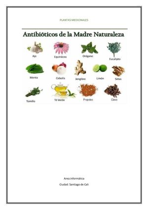 Plantas Medicinales