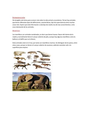 Animales