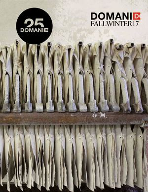 DOMANI Catalogue Fall Winter 2017