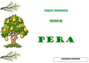 Paquete Tecnico Pera