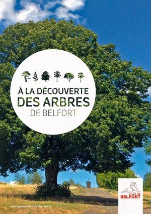 Parcours découverte des arbres à Belfort