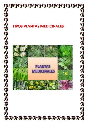 Tipos De Plantas Mas Utilizadas