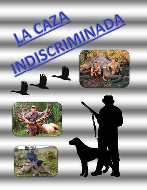 Caza Indiscriminada