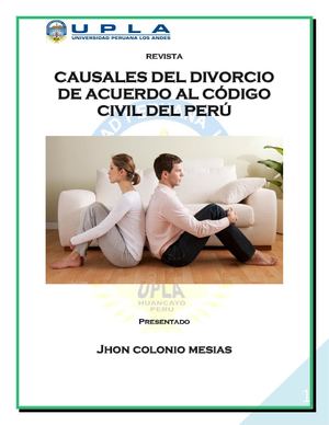 Causales De Divorcio