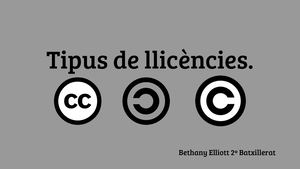 Tipus De Llicències
