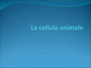 Le Scienze In Laboratorio Scuola Media La Cellula Animale