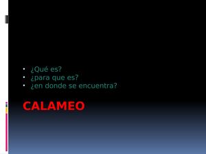 Calameo revista