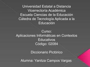 Diccionario Pictorico