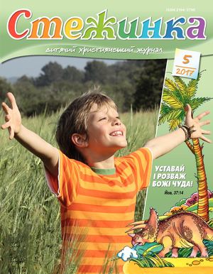 Стежинка 2017.5