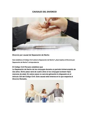 Causales Del Divorcio