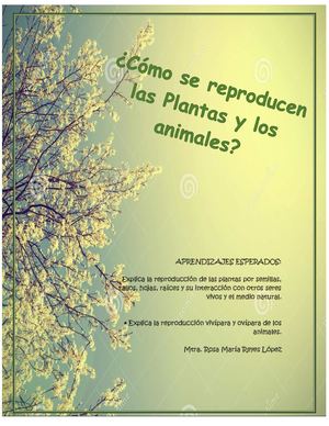 ¿Cómo se reproducen las plantas y los animales?