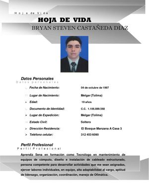 Hoja De Vida Tecnologo