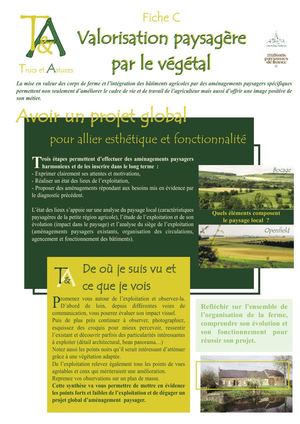 Valorisation paysagère par le végétal