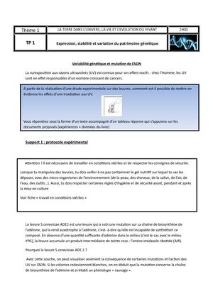 Tp2 Influence D'une Irradiation Par Les Uv