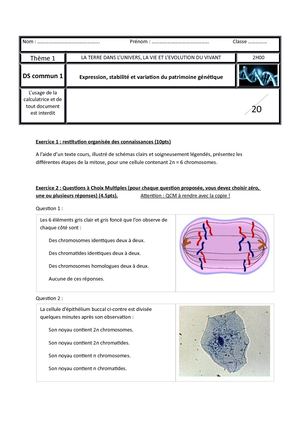 Ds Commun 1