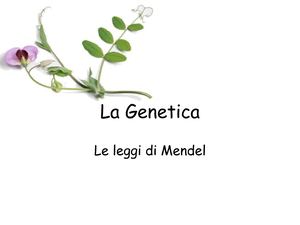 Leggi Mendel (1)
