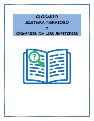 Glosario Sistema Nervioso Y óRganos De Los Sentidos