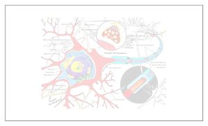 Cartilla Neuroplasticidad
