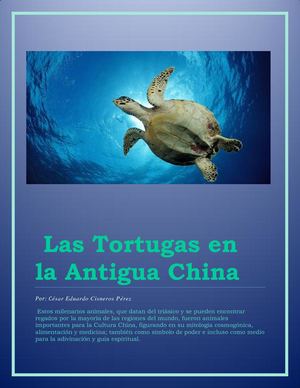 Las Tortugas En La Antigua China