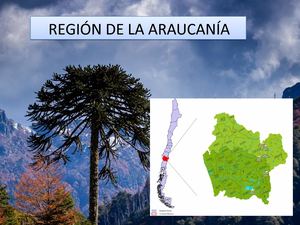 Araucania