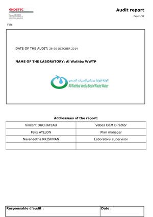 Rapport D'audit Auh 2014