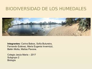 Humedales Del Uruguay (2)