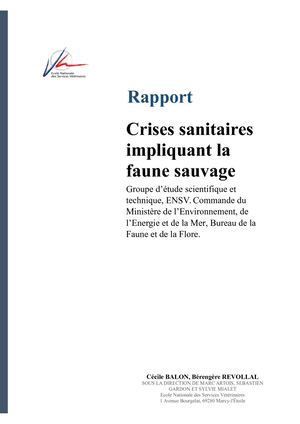 GEST ENSV Rapport FINAL