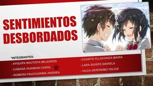 Sentimientos Desbordados
