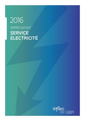 Sydec-Rapport d'activité Electricité 2016