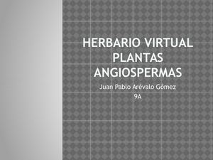 Herbario Virtual
