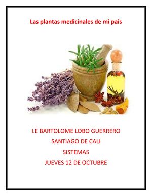 Las Plantas Medicinales De Mi Pais