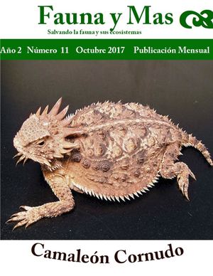 Fauna Y Mas 11