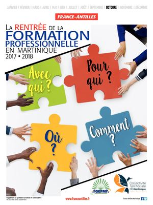 La Formation Professionnelle en Martinique - 2017