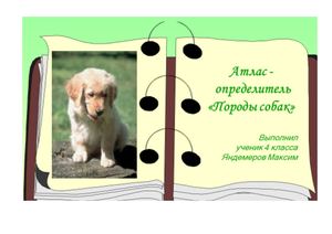 атлас определитель породы собак