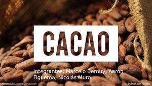 Cacao