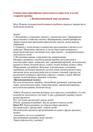 необыкновенный мир магнитов