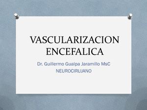 Vascularización Cerebral Oa 3