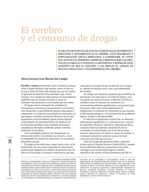 El Cerebro Y El Consumo De Drogas