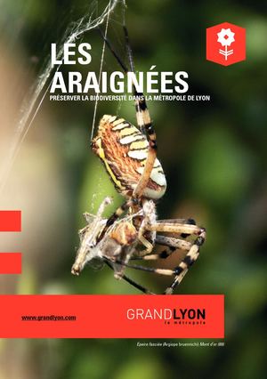 Les araignées - Guide de la biodiversité