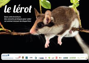 Brochure de présentation du Lérot - FR