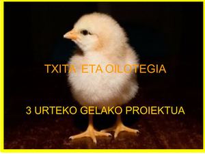 Aurkezpena Txita Pixelatuta